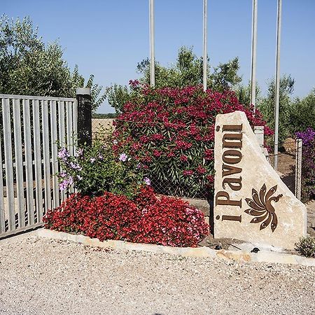 Ferienwohnung Agrimare I Pavoni Montalto di Castro Exterior foto