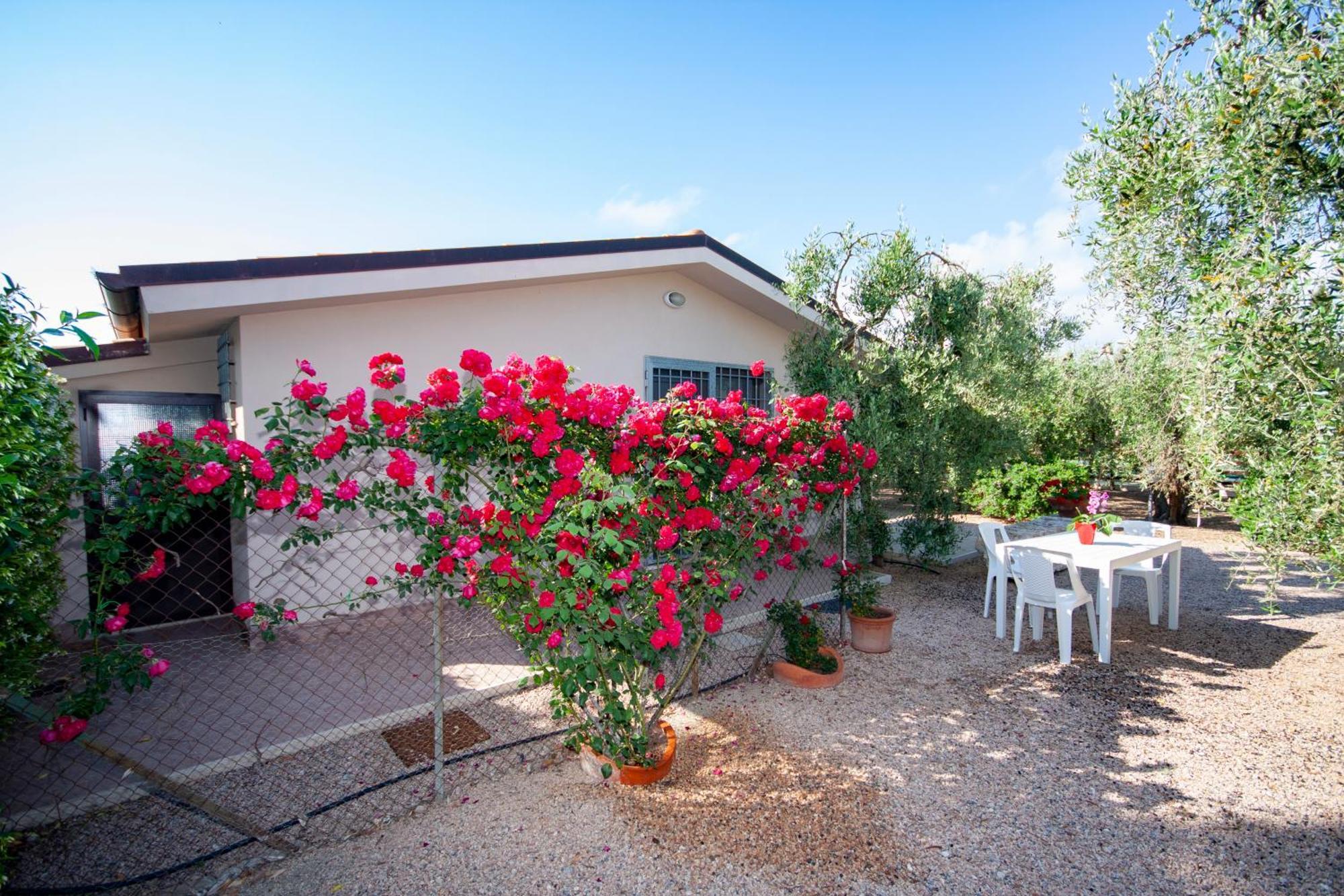 Ferienwohnung Agrimare I Pavoni Montalto di Castro Exterior foto