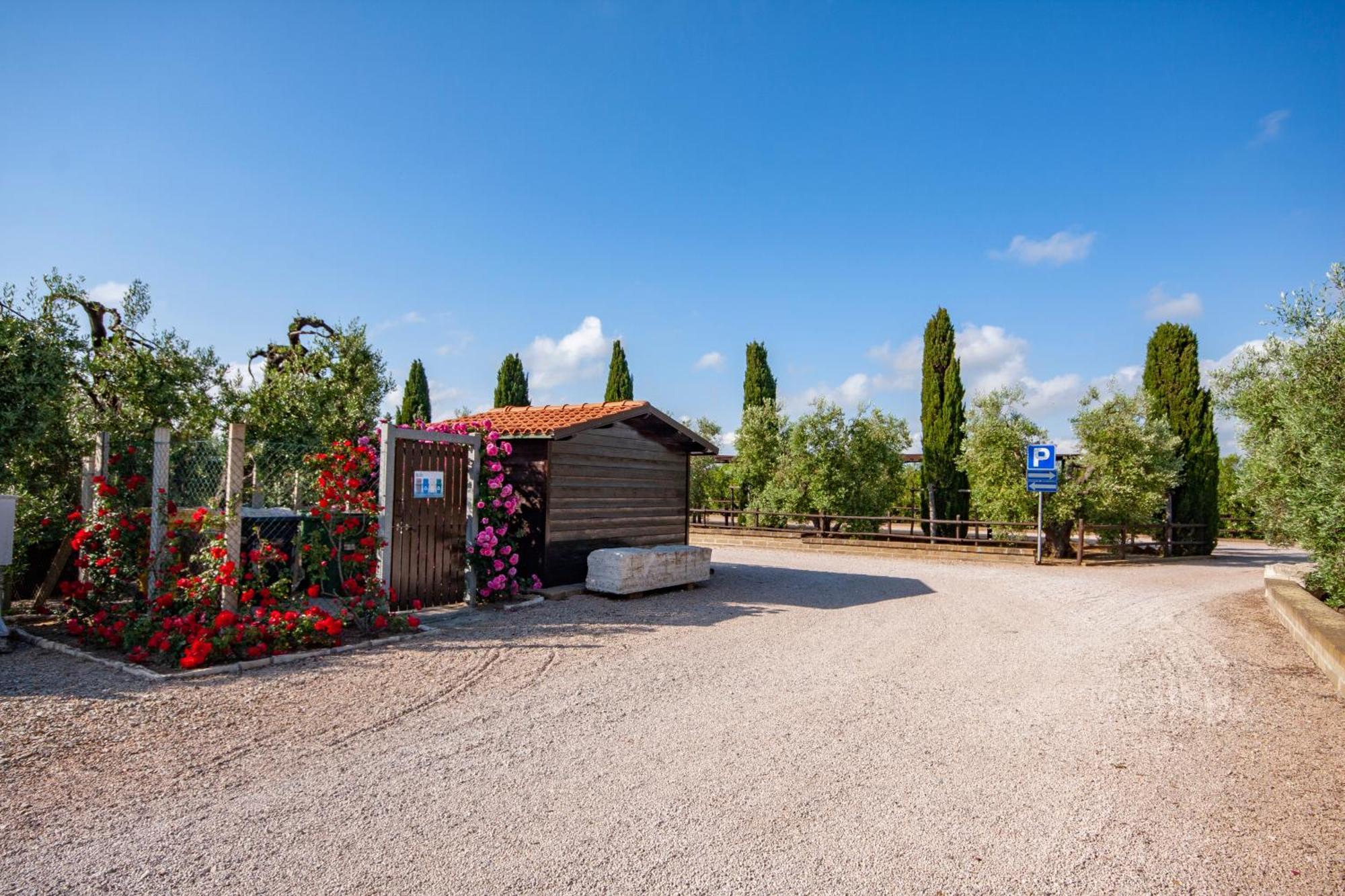 Ferienwohnung Agrimare I Pavoni Montalto di Castro Exterior foto